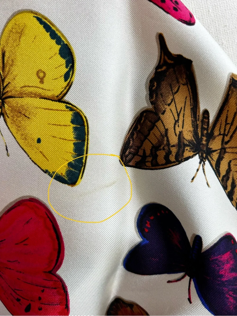 Carlisle for the Wildlife Conservation Society Butterfly Scarf